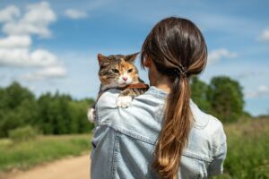 Full-Service Cat & Dog Kennel