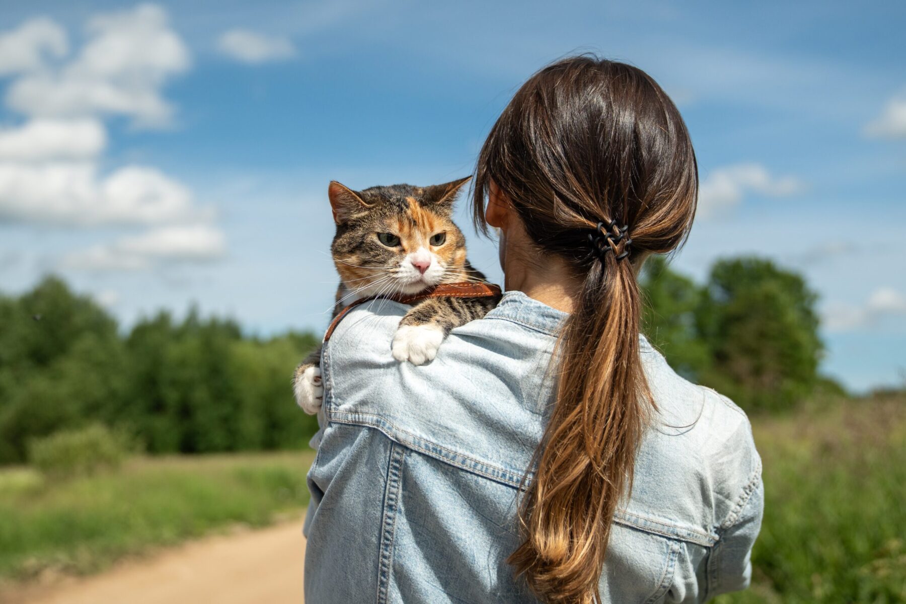 Read more about the article Nomination for Best Veterinarian Office by My Fox Philly!